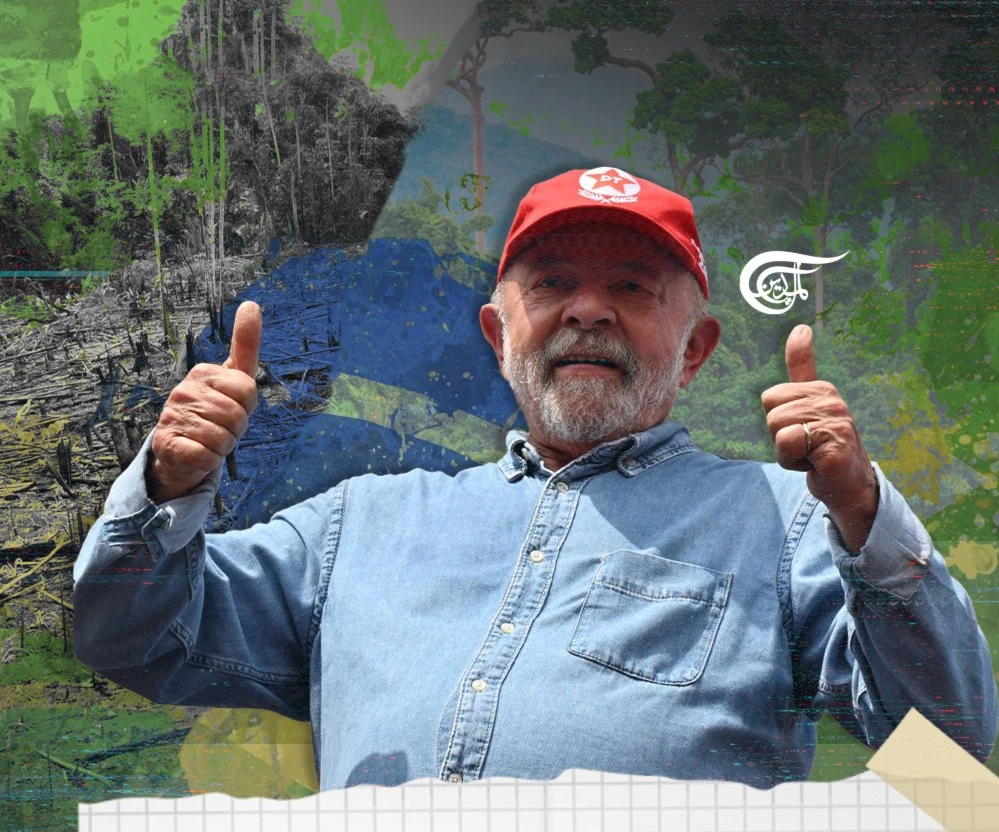 During Lula's presidency, the deforestation rate in the Amazon was cut down by almost two thirds; from 21,650 km2 in 2002 to 7,000 in 2010.
