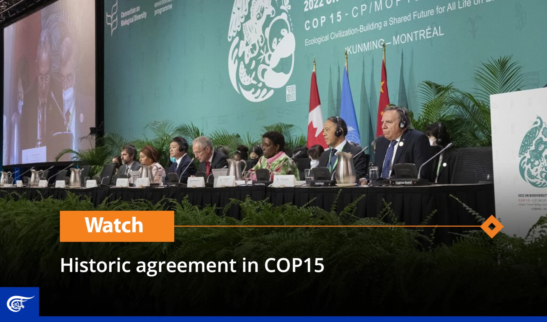 Historic agreement in COP15