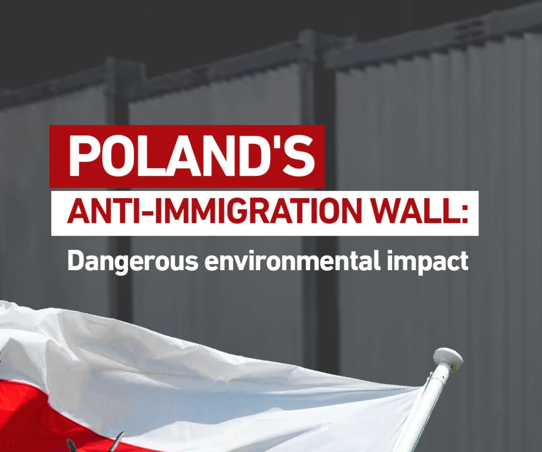 Poland's anti-immigration wall: Dangerous environmental impact