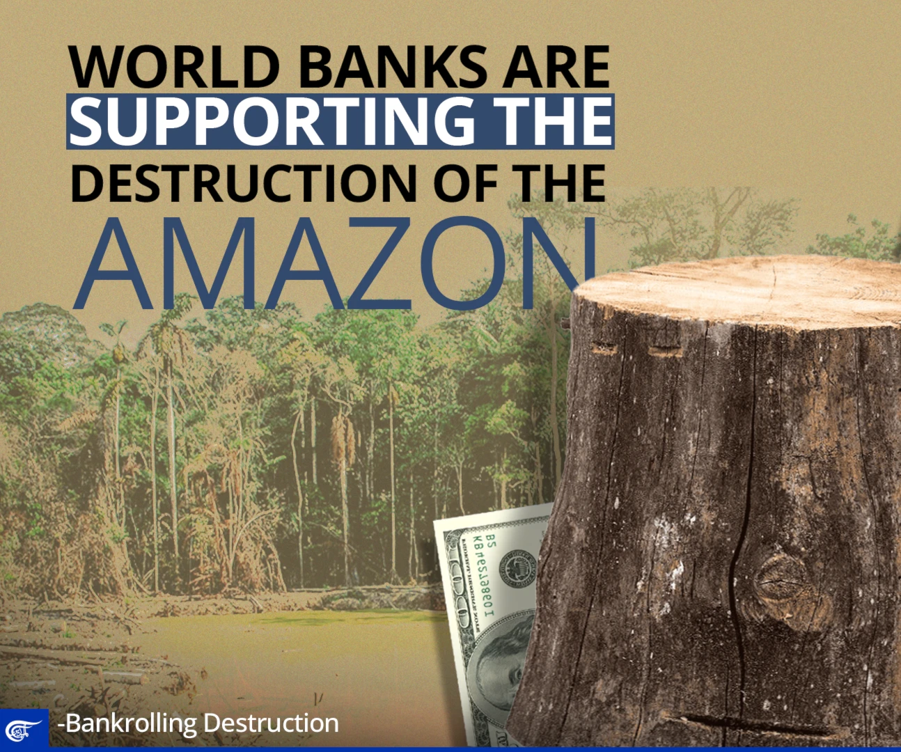 World banks are supporting the destruction of the Amazon