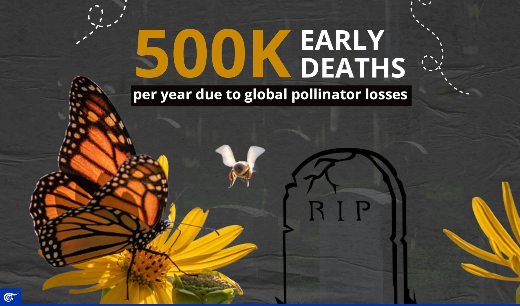 500,000 early deaths per year due to global pollinator losses 500,000 early deaths per year due to global pollinator losses