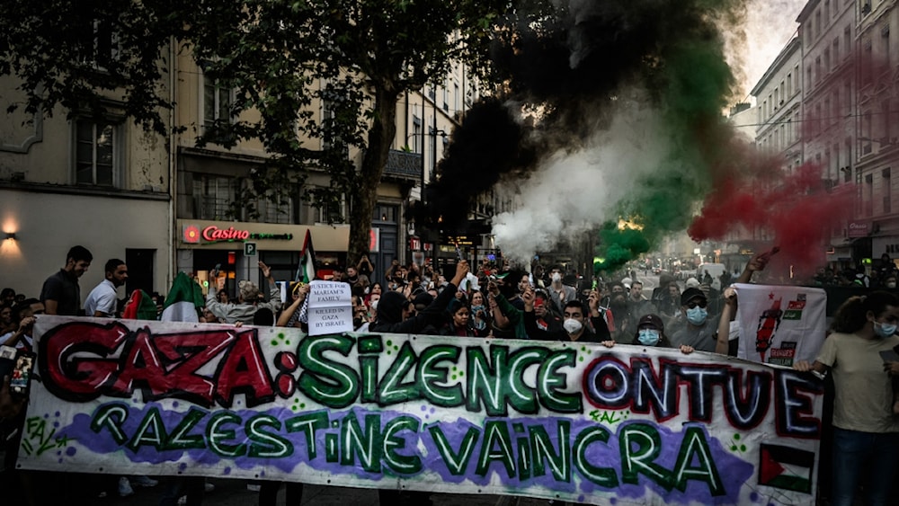 Pro-Palestine demonstrations have continued to take place in France despite bans. (AFP)