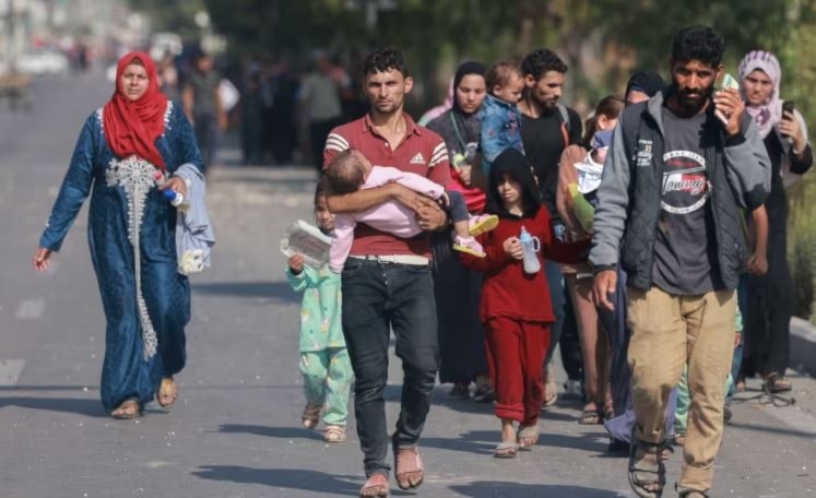 Palestinian families forcibly displaced reach the central Gaza Strip on foot via the Salah al-Din road on 5 November. (AFP via Getty Images)