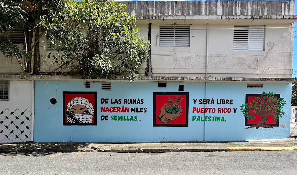 An undated image with text written in Spanish reading Thousands of seeds will born from the ruins... and Puerto Rico and Palestine will be free in Rio Piedras, San Juan. (Social media)