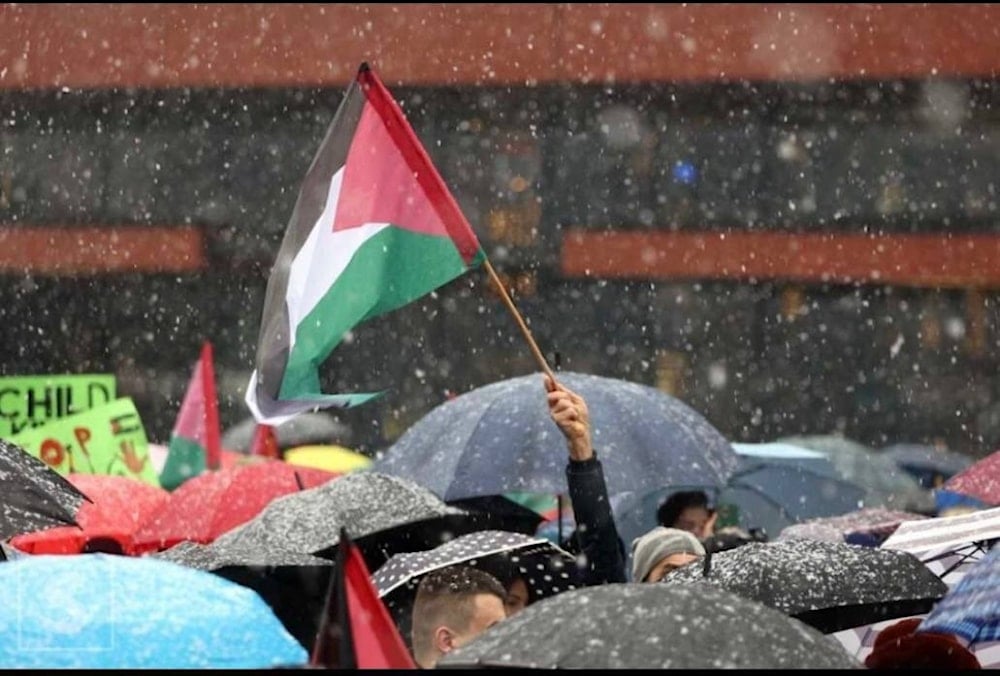 A photo from a demonstration in Sarajevo the capital of Bosnia in support for Palestine in solidarity with Gaza. (X/Act4Pal1)