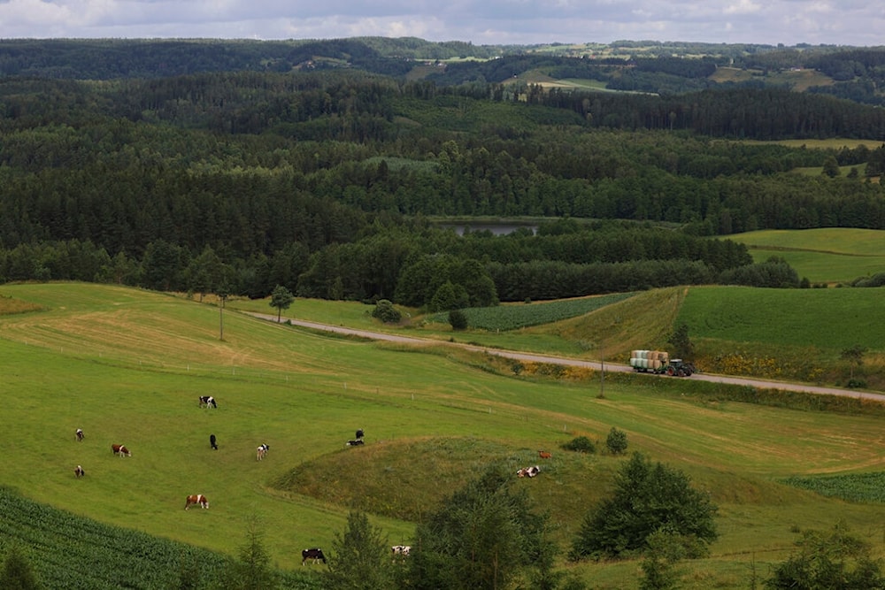 A farmer drives on a road, Poland, Thursday, July 7, 2022 (AP)