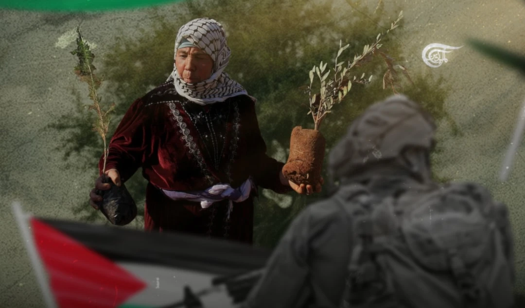 Echoes of heritage: Weight of loss, resilience in Palestine Echoes of heritage: Weight of loss, resilience in Palestine