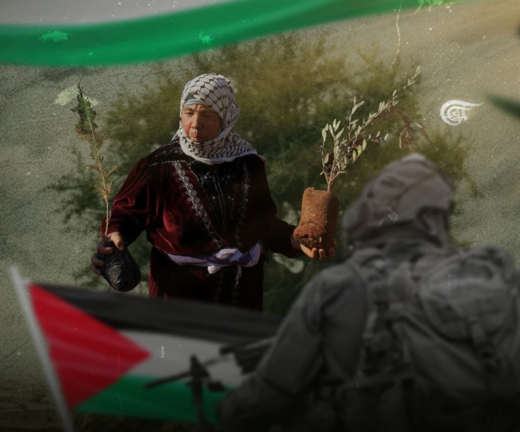 Echoes of heritage: Weight of loss, resilience in Palestine