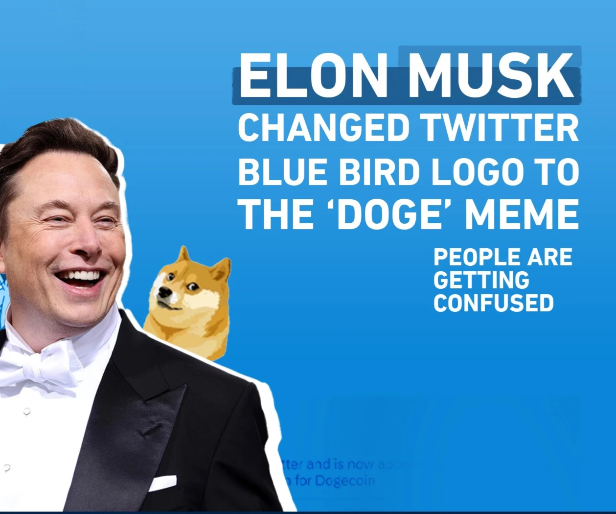 Elon Musk changed Twitter blue bird logo to the ‘Doge’ meme