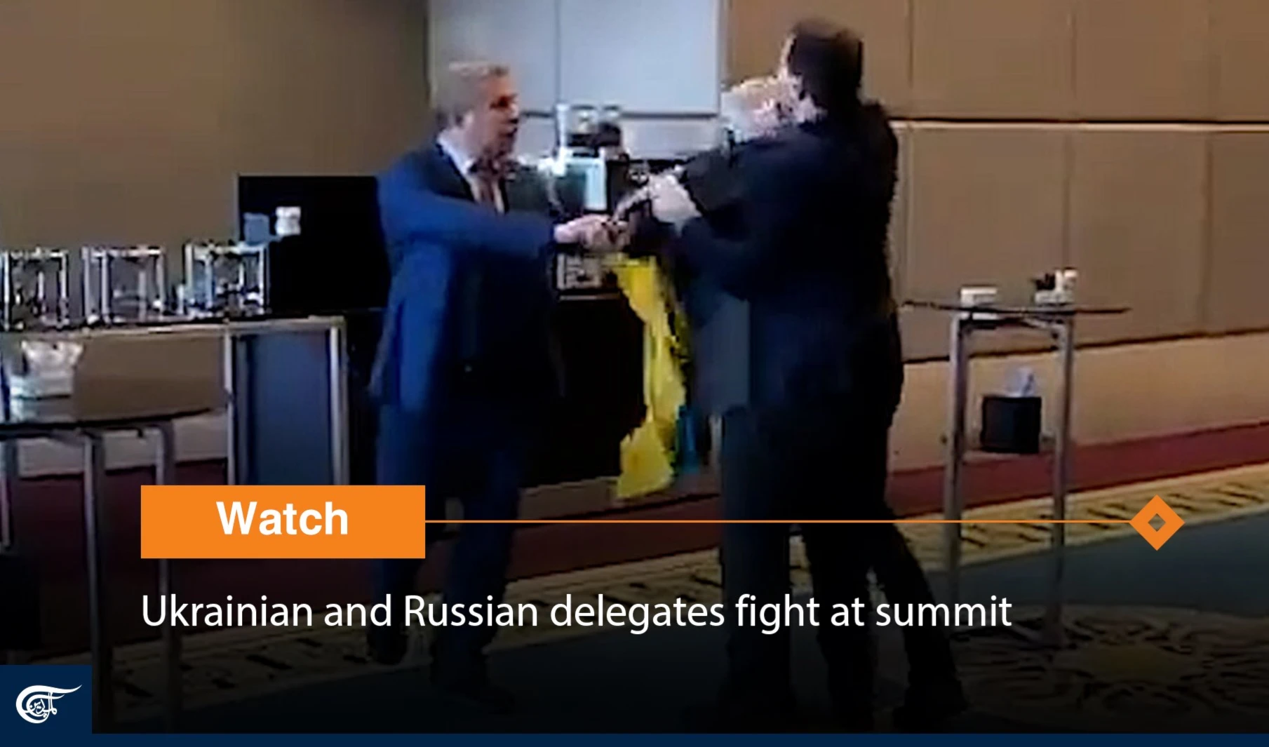 Ukrainian and Russian delegates fight at summit