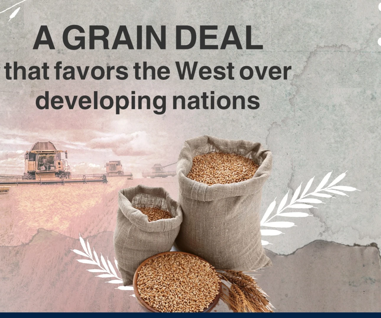 A Grain Deal that favors the West over developing nations