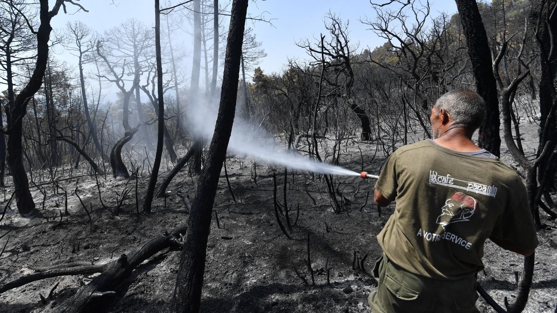 34 Killed, Including 10 Soldiers, In Algeria Wildfires: Authorities ...