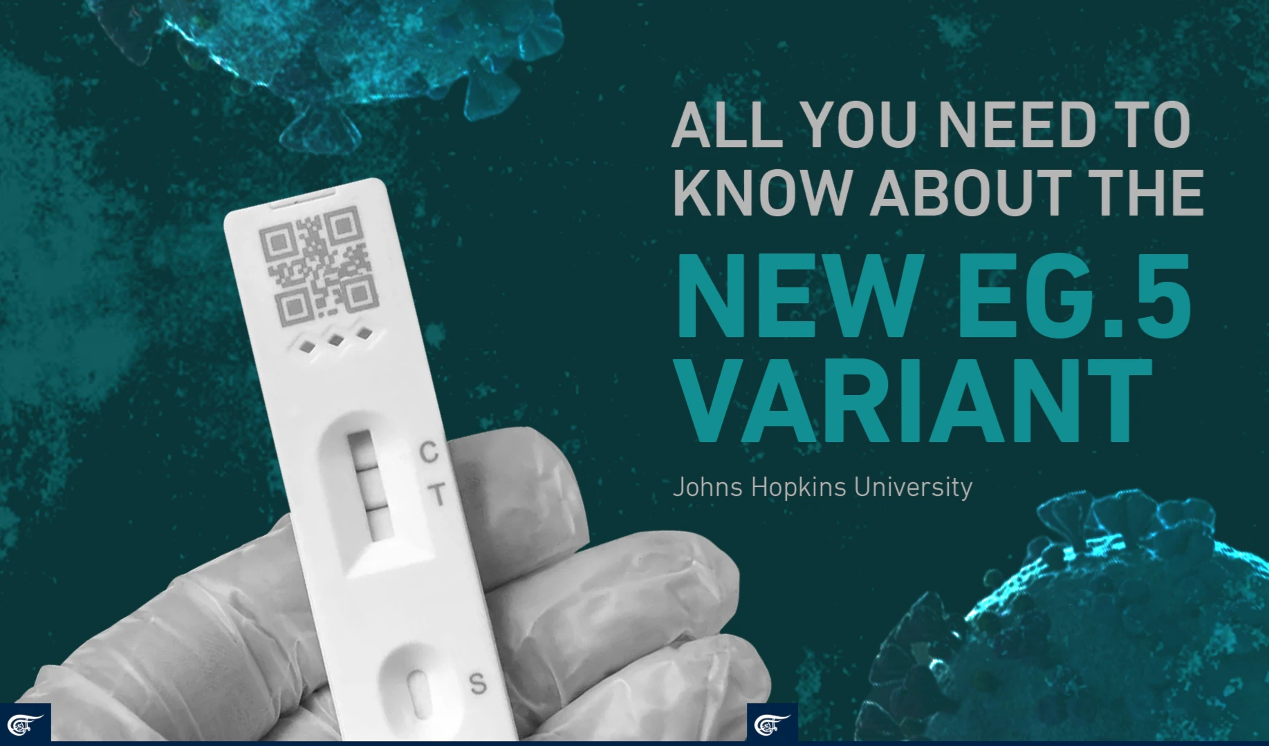 All you need to know about the new EG.5 variant All you need to know about the new EG.5 variant
