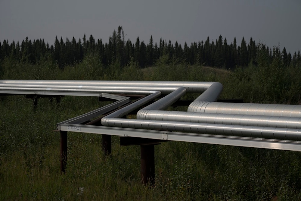 Tubing transporting gas, steam and oil emulsion stand above the vegetation to allow for animals to pass underneath at Cenovus' Sunrise oil facility northeast of Fort McMurray on Aug. 31, 2023. (AP)