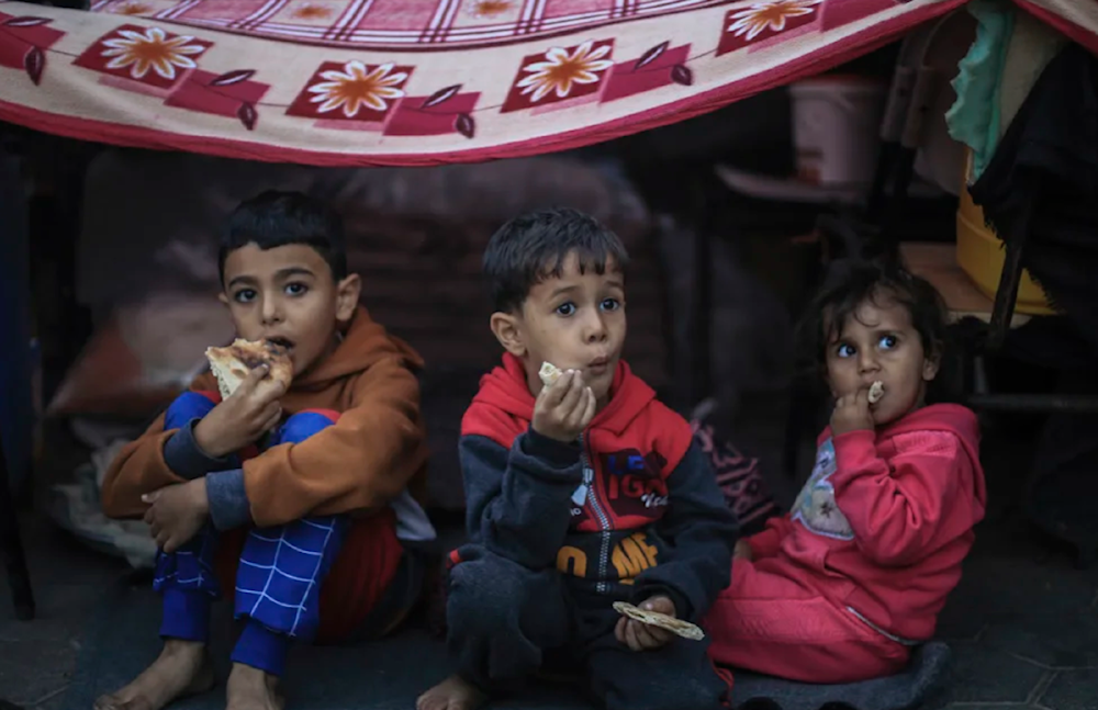 Euro-Med warns of starvation campaign in Gaza after infant death