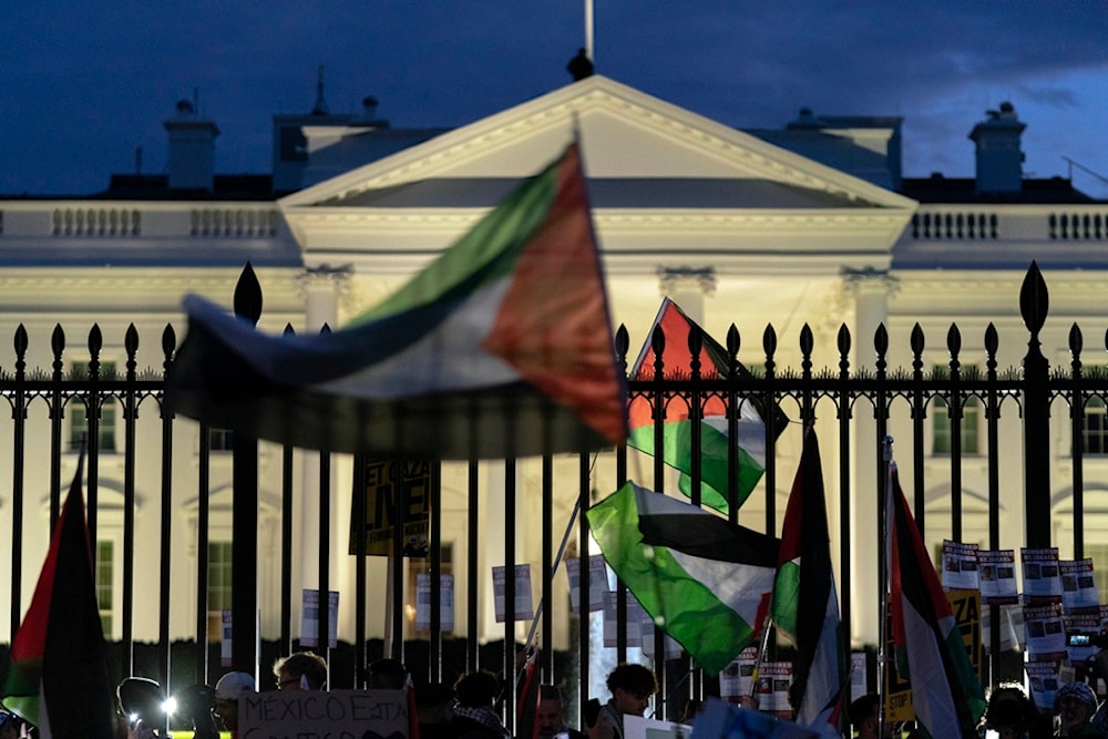 Anti-war activists wave their flags as they protest outside of T\the White House during a pro-Palestinian demonstration asking for a cease fire in Gaza in Washington, Saturday, Nov. 4, 2023.(AP)