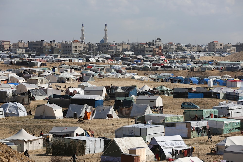 Palestinians displaced by the Israeli genocide on the Gaza Strip take shelter near the border fence with Egypt in Rafah, Wednesday, Jan. 24, 2024. (AP)