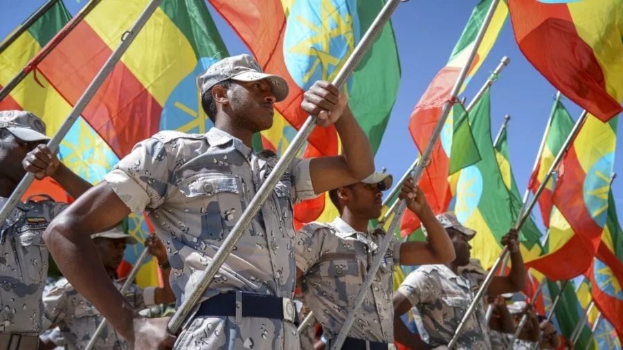 Members of the Ethiopian National Defense Force hold national flags (AP)
