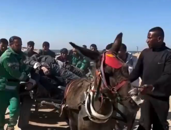 Hamas, Palestinian factions hold US responsible for Gaza massacre