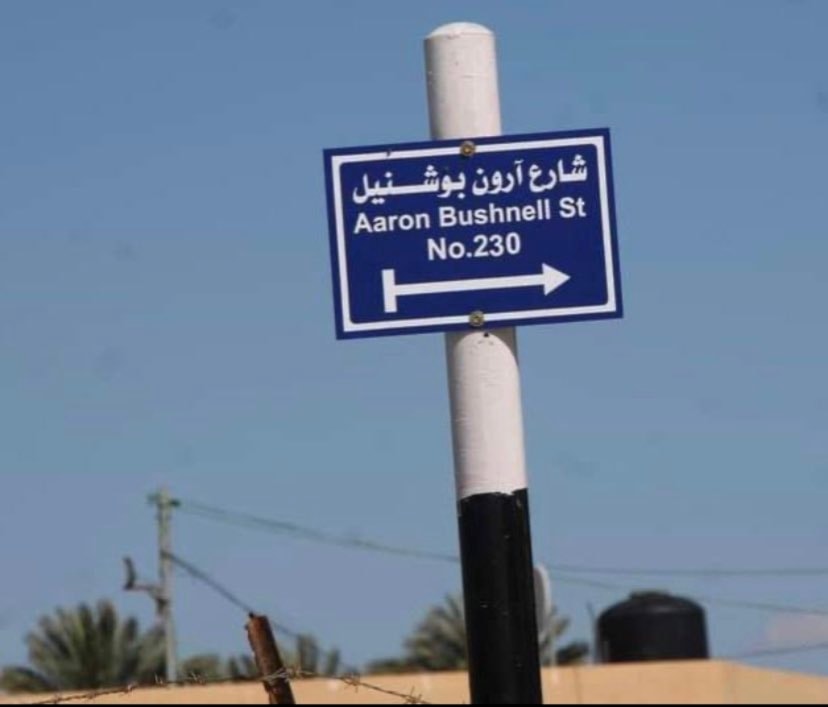 A sign showing Aaron Bushnell Street on Sunday, March 11, 2024. ( X / @sahouraxo)