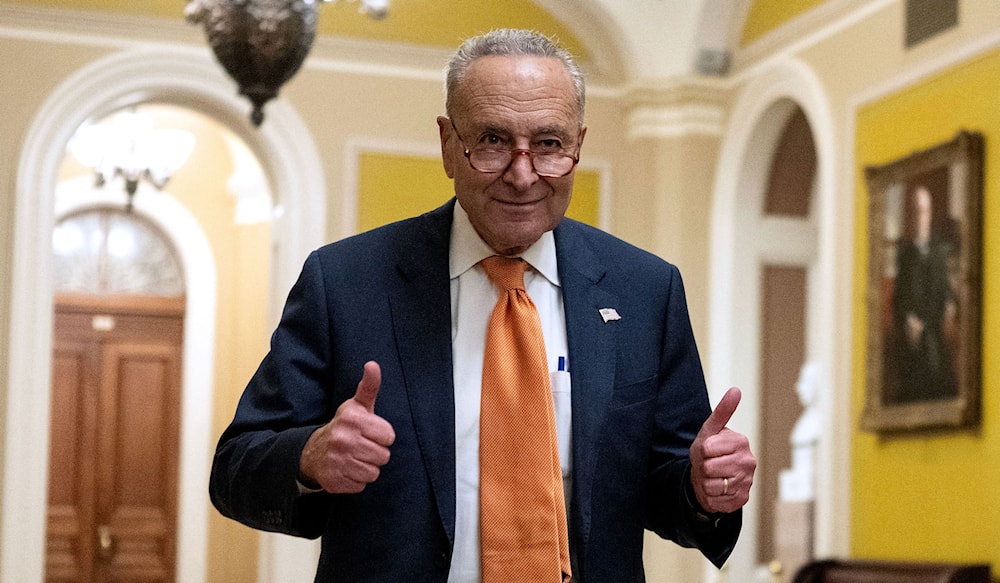 Schumer takes jab at Netanyahu, calls for elections in 'Israel'