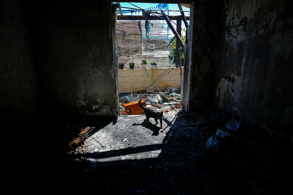 A house burnt by rockets fired by Hezbollah in 'Kiryat Shmona', northern occupied Palestine, on the border with Lebanon, February 29, 2024 (AP)