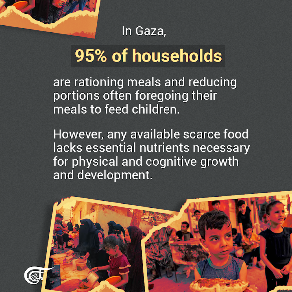 'Israel' is intentionally starving Palestinians