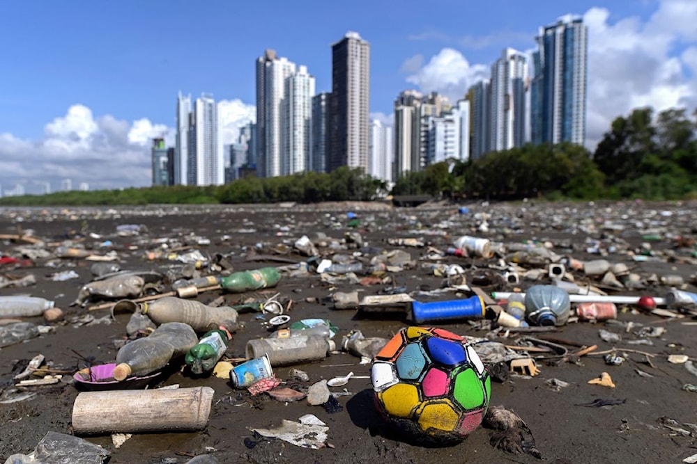 Plastic waste on the beach in Panama City. (Luis Acosta, AFP via Getty Images)