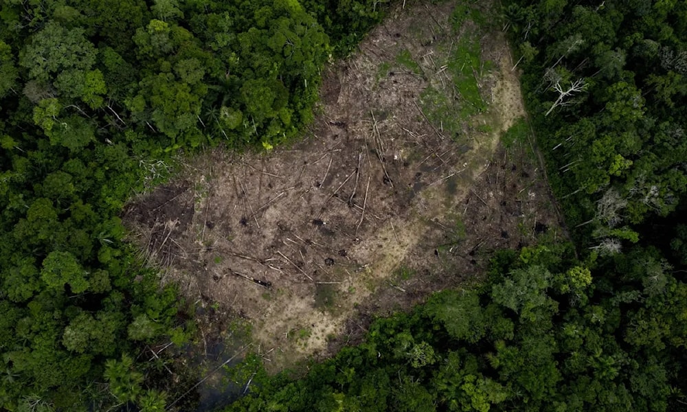 Deforestation and the destruction of habitats in Amazon, Colombia, as seen in March 2023. (AFP)