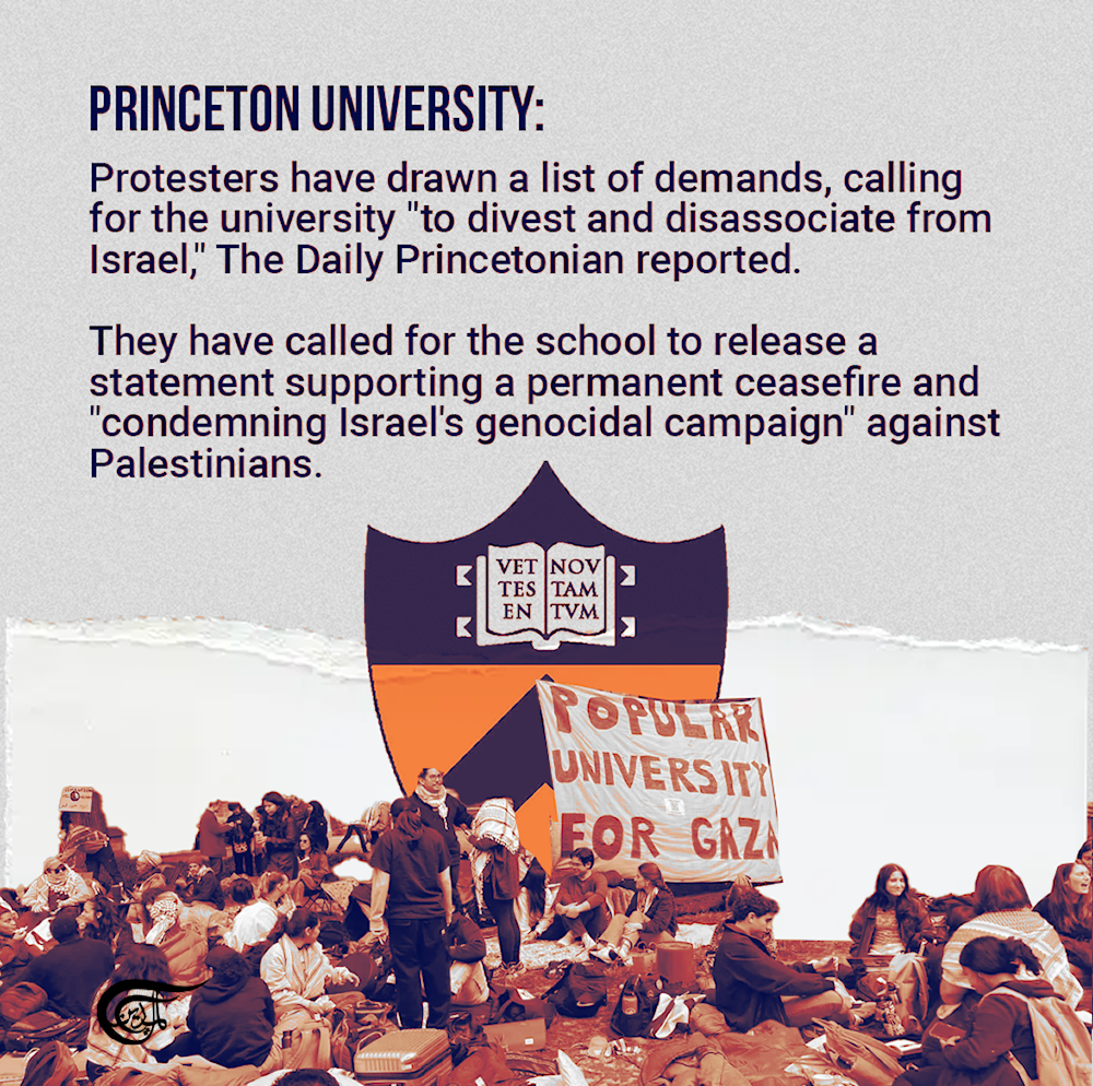 What do pro-Palestine student protesters want?