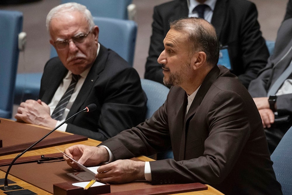 Iran's FM slams UNSC's Western bloc for aiding Israeli criminal action