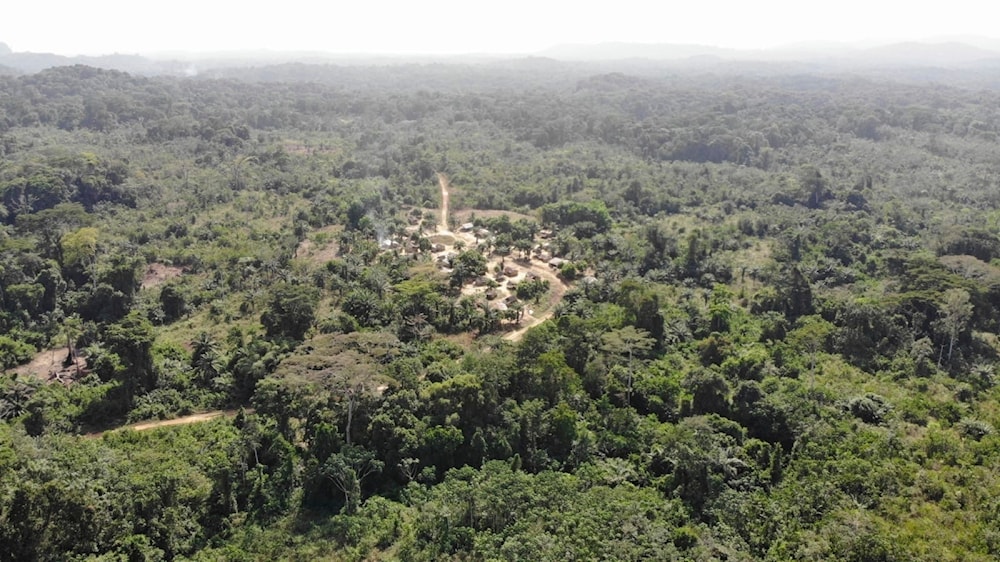 Yarkpa Town stands out in the surrounding rainforest in Rivercess County, Southeast Liberia, Wednesday, March 6, 2024.(AP)