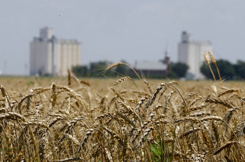  In this June 21, 2015 file photo, wheat stands ready for harvest in a field near Anthony, Kan. (AP)