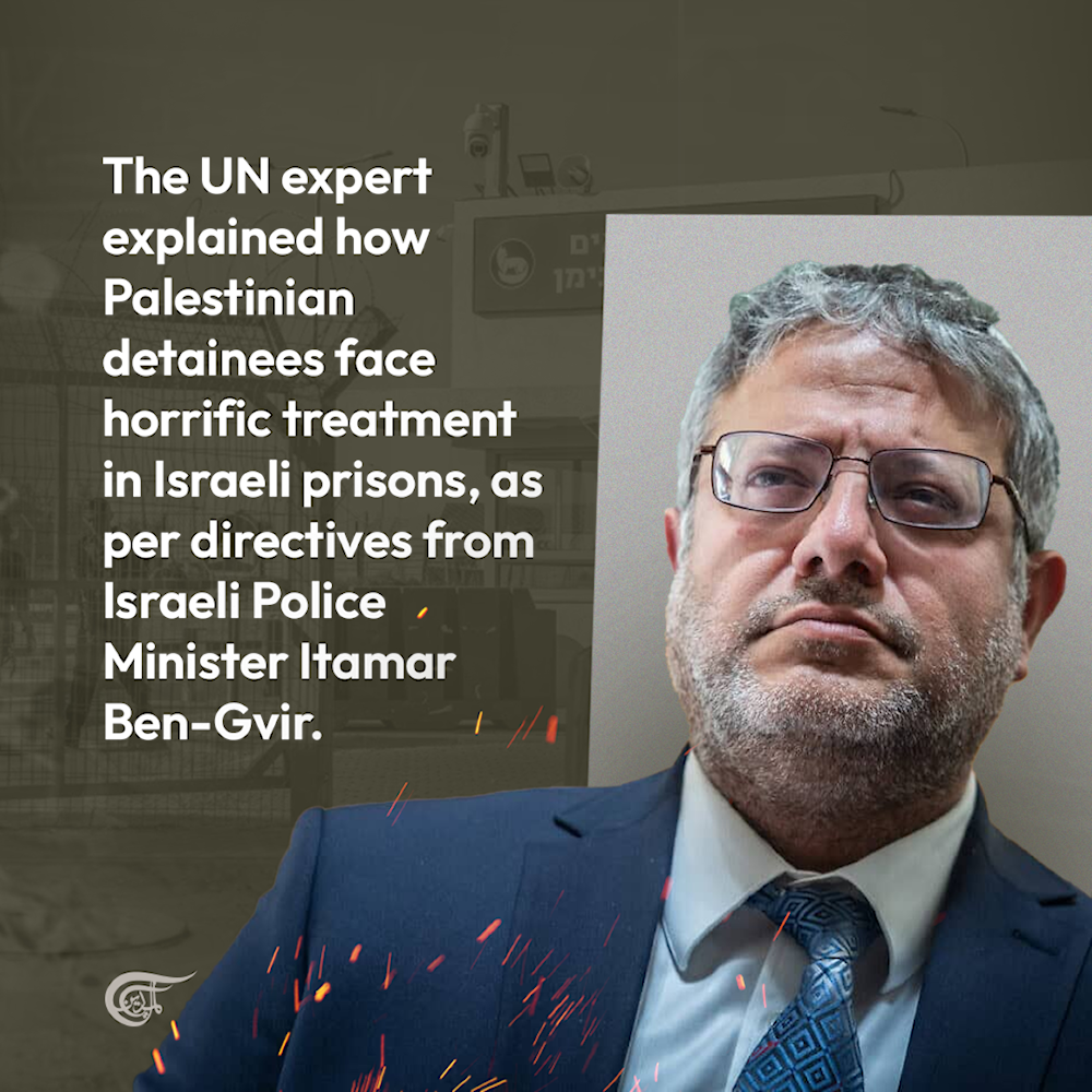 Israel lies, and no one takes its statements seriously: UN expert to Al Mayadeen