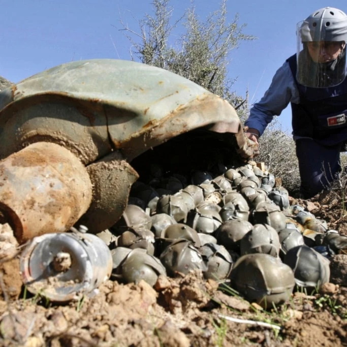Mines Advisory Group Technical Field Manager inspecting a Cluster Bomb Unit in the southern village of Ouazaiyeh, Lebanon, on Nov. 9, 2006, after it was dropped by 'Israel' amid war on Lebanon. (AP)