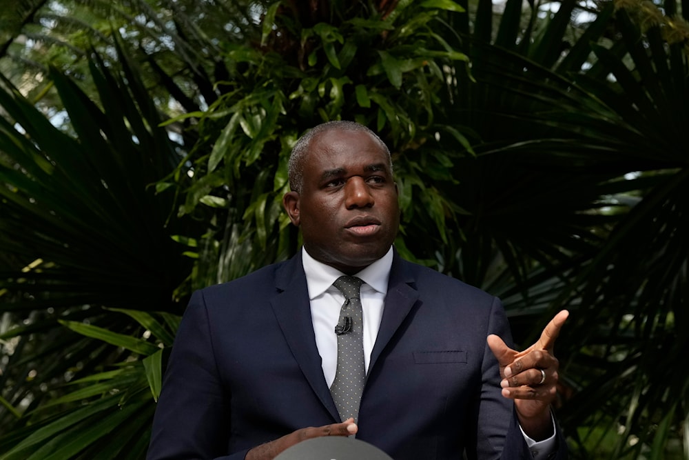 Britain's Foreign Secretary David Lammy gestures while speaking about climate and environment policy at Kew Gardens in London, on September 17, 2024. (AP)