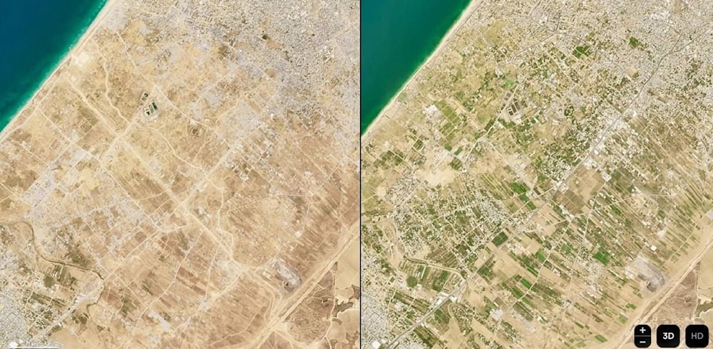 Satellite images show extensive destruction caused by Israeli forces in Gaza’s Netzarim corridor, which divides the strip into northern and southern sections. (@PalHighlight)