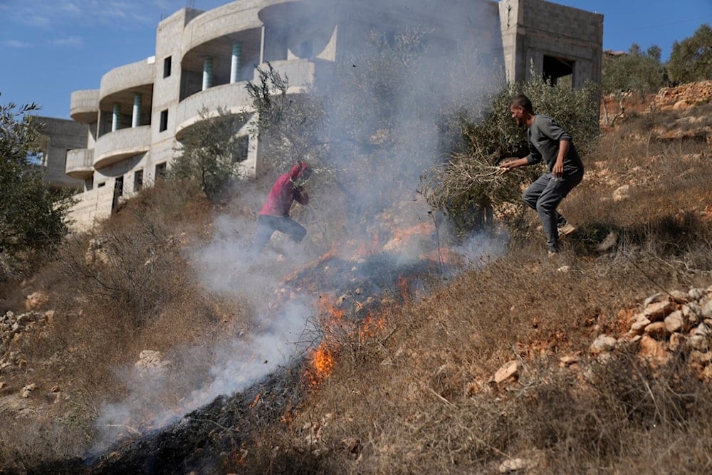 Palestinians fought a fire on their land caused by tear gas canisters fired by Israeli occupation forces in Qusra, south of Nablus, occupied West Bank, Palestine, on Oct. 29, 2024. (AP)