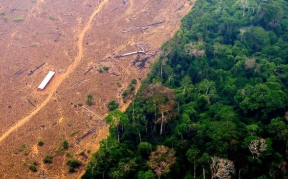 A deforested and burning area of the Amazon rainforest in the region of Labrea, state of Amazonas, northern Brazil. (AFP/Getty Images)