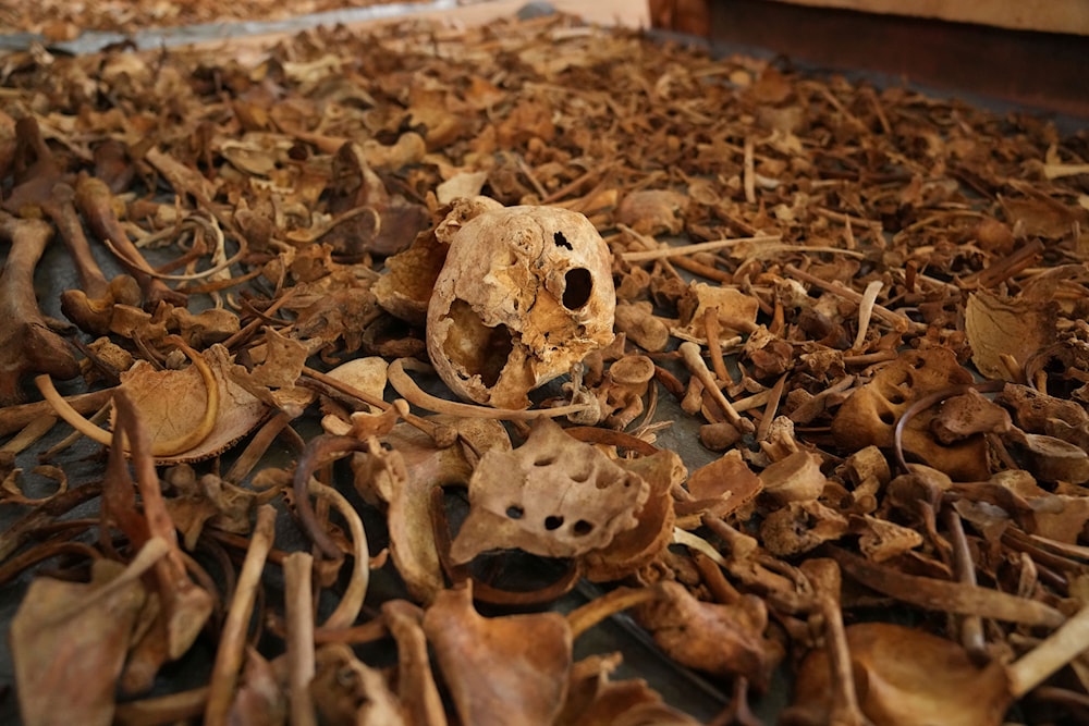 Newly discovered skulls and bones of some of those who were killed displayed as a memorial to the thousands who were killed during the 1994 genocide, at a church, in Nyamata, Rwanda, Friday, April 5, 2024. (AP)
