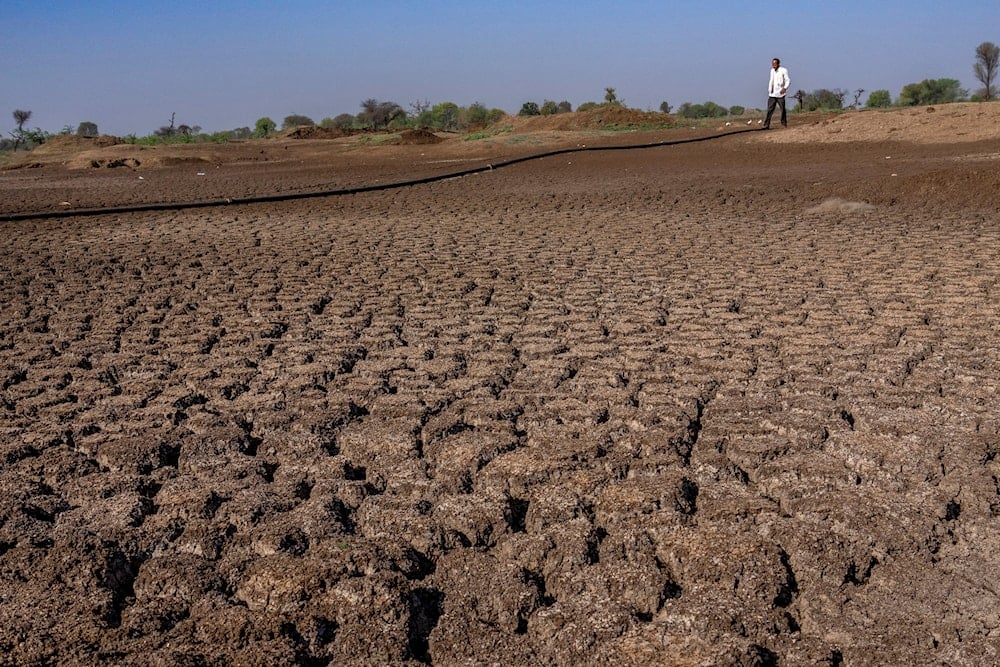 A farmer walks on a lake that has dried up due to drought outside Beed, India, Saturday, May 4, 2024. (AP)