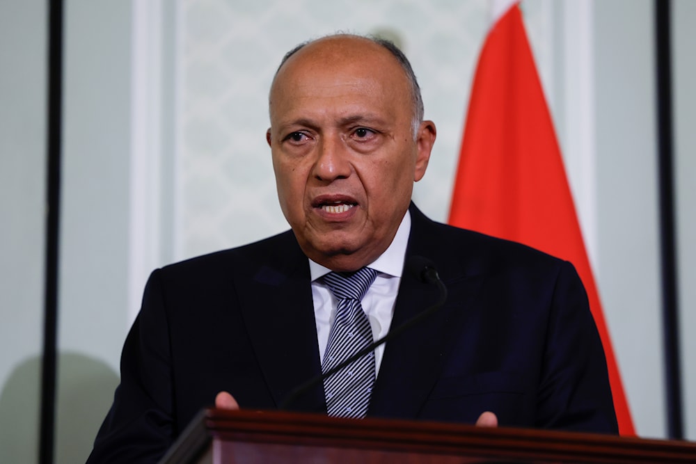 Egyptian Foreign Minister Sameh Shoukry holds a joint press conference with US Secretary of State Antony Blinken, during Blinken's visit to Cairo, Egypt, Thursday, March 21, 2024. (AP)