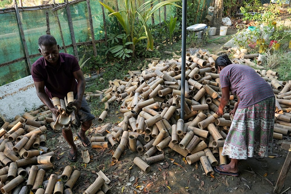 Murukesan and daughter Nimitha Manoj pick bamboo pieces from their home nursery for mangrove saplings to be planted on Vypin Island in Kochi, Kerala state, India, on March 4, 2023.(AP)