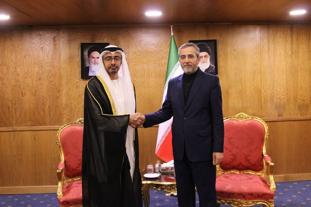 UAE's Foreign Minister Sheikh Abdullah bin Zayed Al Nahyan meets his Iranian counterpart Ali Bagheri Kani in Iran on May 23, 2024. (Iranian news agencies )