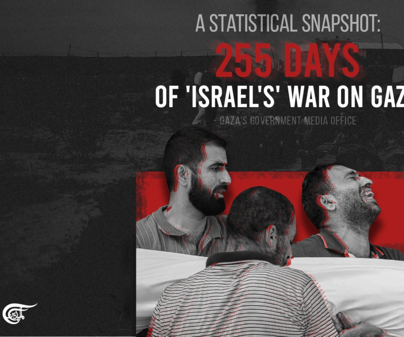 A statistical snapshot: 255 days of 'Israel's' war on Gaza A statistical snapshot: 255 days of 'Israel's' war on Gaza