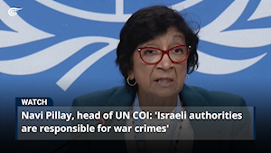 Navi Pillay, head of UN COI: 'Israeli authorities are responsible for war crimes'