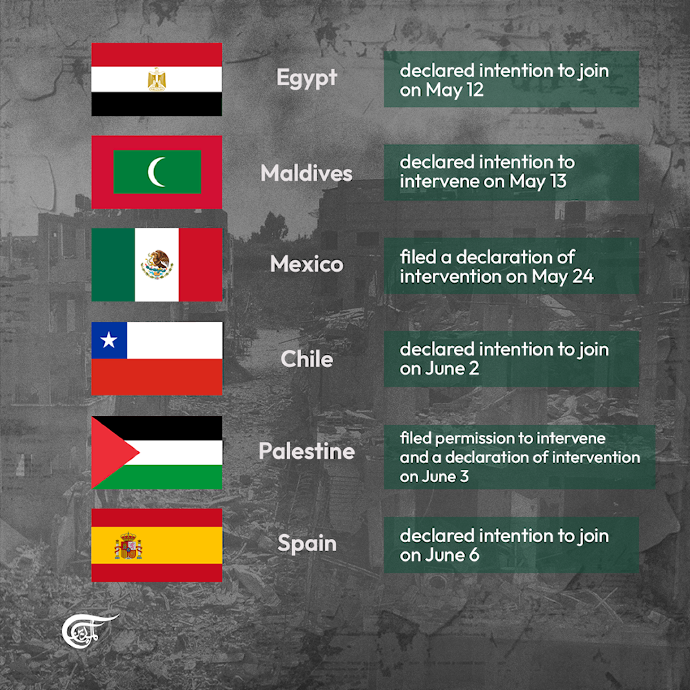 Countries that have joined South Africa's case against 'Israel' at the ICJ