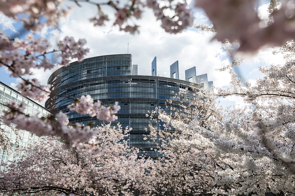 Het Europees Parlement wordt op 26 maart 2019 afgebeeld door kersenbomen in Straatsburg, Oost-Frankrijk.  (AP)
