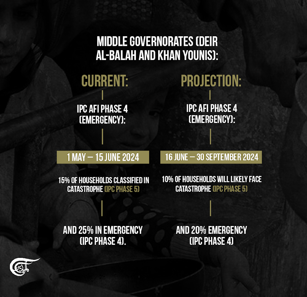 Plausible famine in Gaza by September: IPC's latest