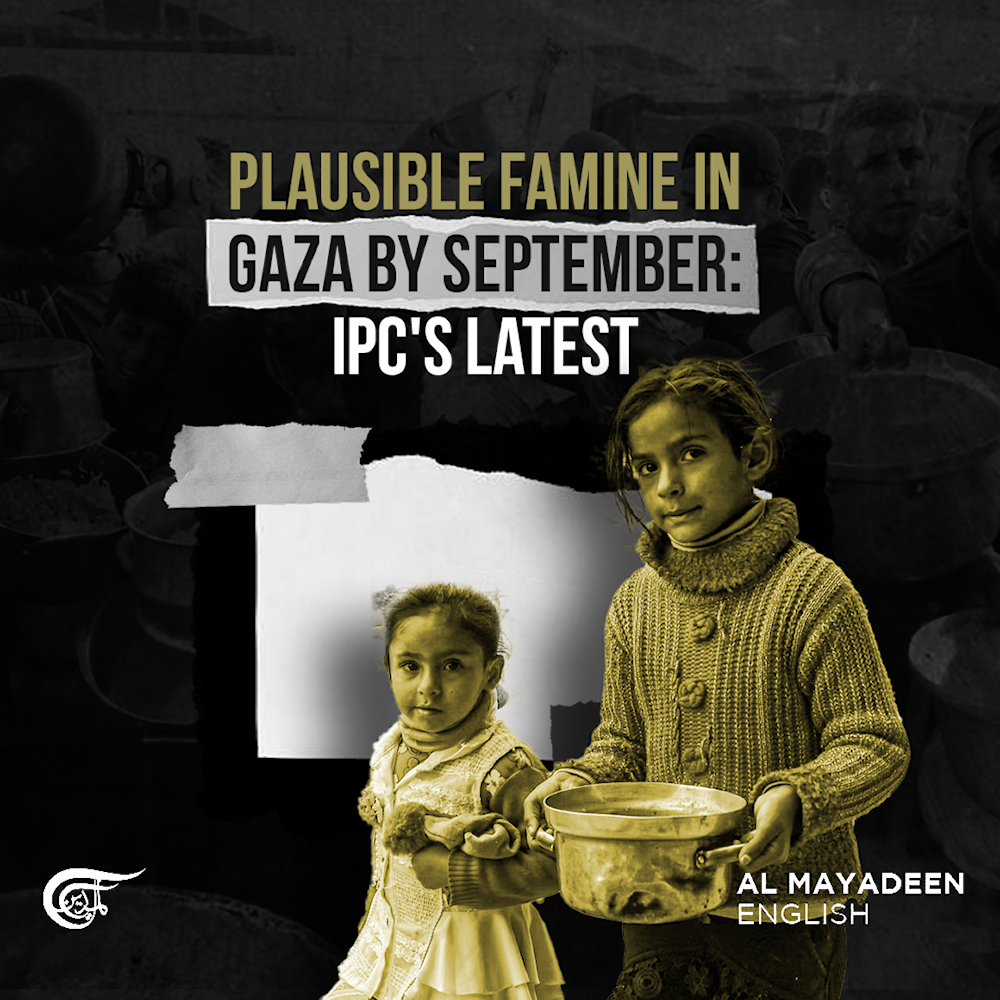 Plausible famine in Gaza by September: IPC's latest